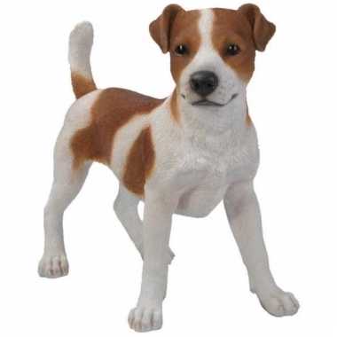Beeld jack russel terrier bruin/wit 35 cm