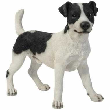 Beeld jack russel terrier zwart/wit 35 cm