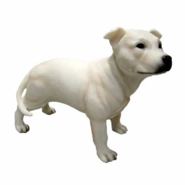 Dierenbeeld engelse staffordshire terrier hond 15 cm