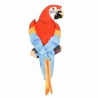 Dierenbeeld rode ara papegaai vogel 30 cm