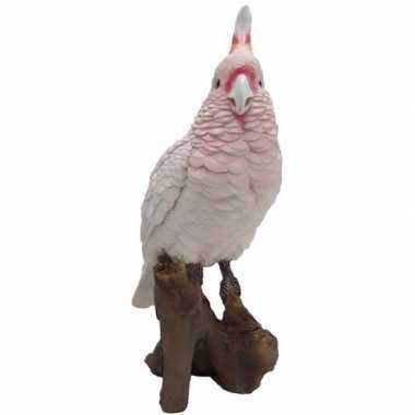 Dierenbeeld roze kaketoe 25 cm