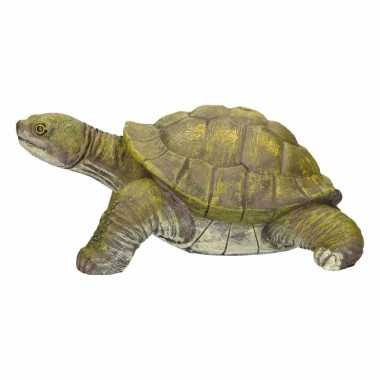 Dierenbeeld schildpad 39 cm