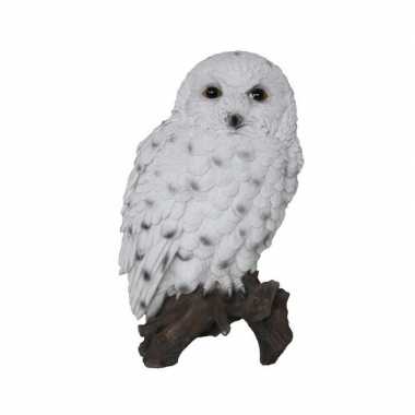 Dierenbeeld sneeuwuil op stam 23 cm