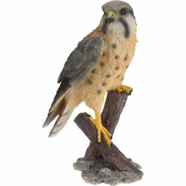Dierenbeeld torenvalk vogel 30 cm woondecoratie