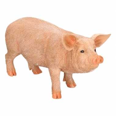 Dierenbeeld varken/big 36 cm