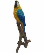Dierenbeeld blauw gele papegaai op stam 30 cm
