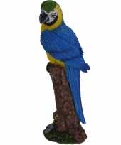 Dierenbeeld blauwe ara papegaai vogel 24 cm woondecoratie
