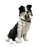 Dierenbeeld border collie hond 18 cm