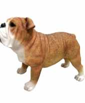 Dierenbeeld engelse bulldog hond 15 cm