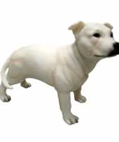 Dierenbeeld engelse staffordshire terrier hond 15 cm