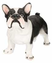 Dierenbeeld franse bulldog staand 38 cm
