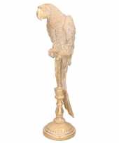 Dierenbeeld gouden papegaai vogel op stok 50 cm decoratie