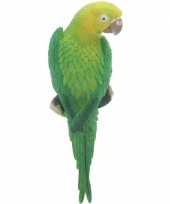 Dierenbeeld groene ara papegaai vogel 31 cm tuinbeeld hangdeco
