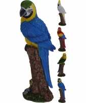 Dierenbeeld groene dwergpapegaai vogel 24 cm woondecoratie