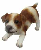 Dierenbeeld jack russel hond bruin wit 14 cm