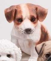 Dierenbeeld jack russel hond bruin wit 15 cm