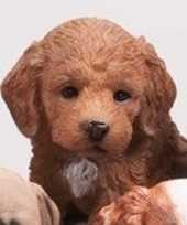 Dierenbeeld labradoodle hond bruin 15 cm