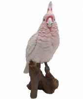 Dierenbeeld roze kaketoe 25 cm