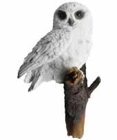 Dierenbeeld sneeuwuil 13 x 14 x 23 cm