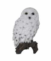 Dierenbeeld sneeuwuil op stam 23 cm