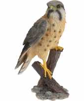 Dierenbeeld torenvalk vogel 30 cm woondecoratie