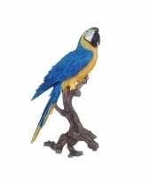 Tropische vogel beeld blauwe papegaai 70 cm